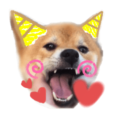 [LINEスタンプ] りくまろ❤️