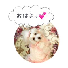 [LINEスタンプ] トイプードル♡ふぅちゃん