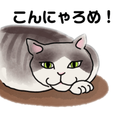 [LINEスタンプ] ニャロメの残念エッピョンvol.3