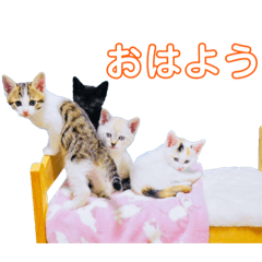 [LINEスタンプ] ポッキーと10匹の子供達