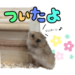 [LINEスタンプ] れいとあなの日常