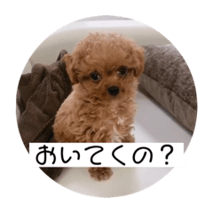 [LINEスタンプ] ぼくはクック 3