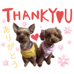 [LINEスタンプ] こっちゃんのfamily ♡
