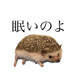 [LINEスタンプ] やまじちゃん。