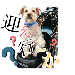 [LINEスタンプ] こころがすたんぷ