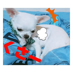 [LINEスタンプ] 我が家の犬たち5