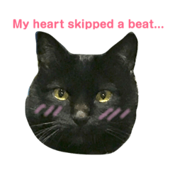 [LINEスタンプ] まさむねくんメッセージ付