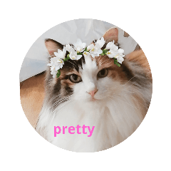 [LINEスタンプ] pretty cat and balloon