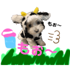 [LINEスタンプ] まーにとまろん