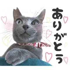 [LINEスタンプ] サリー☆すたんぷ