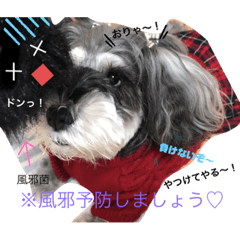 [LINEスタンプ] 今日の❤️ワンコパート10