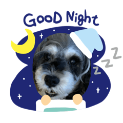 [LINEスタンプ] 今日の❤️ワンコ12〜簡単返事バージョン