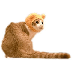 [LINEスタンプ] 犬や猫達