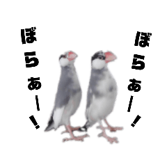 [LINEスタンプ] 毒舌文鳥