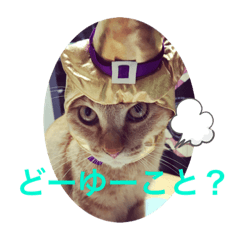 [LINEスタンプ] そうちゃんパック