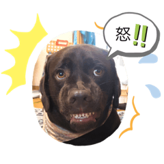 [LINEスタンプ] チョコラブ2