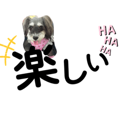 [LINEスタンプ] 今日の❤️ワンコ14〜楽チンスタンプ〜