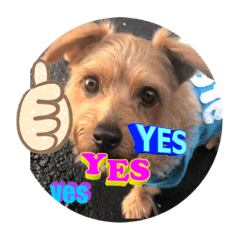 [LINEスタンプ] テンたんのつぶやき  その①