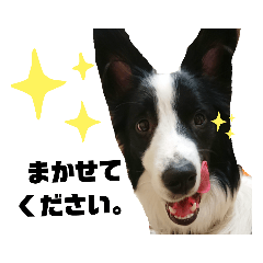 [LINEスタンプ] ぜろたにえん。仕事で使える敬語スタンプ