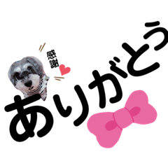 [LINEスタンプ] 今日の❤️ワンコ15〜楽チンスタンプ〜