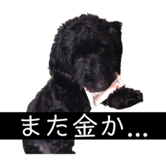 [LINEスタンプ] 真っ黒ダップー2スタンプ