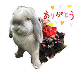 [LINEスタンプ] フレンチロップの紫乃すたんぷ