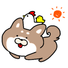 [LINEスタンプ] 柴犬ちゃん挨拶セット