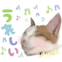 ジジ☆すたんぷ