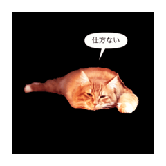 [LINEスタンプ] こさく2