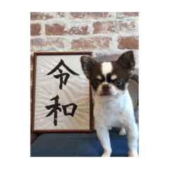 [LINEスタンプ] ぽこ太郎スタンプ☆