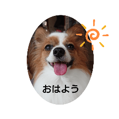 [LINEスタンプ] ぱぴよんさん3
