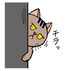 [LINEスタンプ] ふてまるの毎日使えるスタンプ。