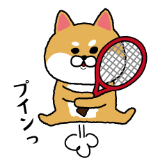 [LINEスタンプ] テニスやりたすぎる柴犬の画像（メイン）