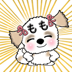 [LINEスタンプ] シーズー犬のももちゃん