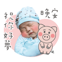 [LINEスタンプ] 豚の宝豚の宝
