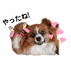 [LINEスタンプ] ぱぴよんさん4