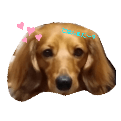 [LINEスタンプ] 豊かなれおくんの表情