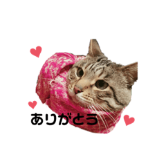 [LINEスタンプ] みんなだいすきラウ