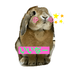 [LINEスタンプ] ぴっかの日常スタンプ