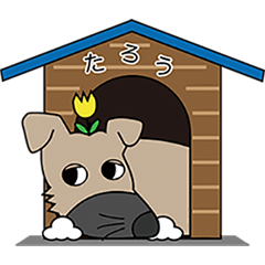 [LINEスタンプ] 残念犬 たろう