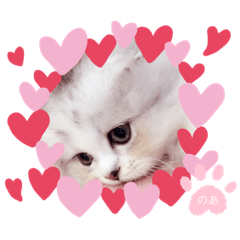 [LINEスタンプ] のあちゃん すたんぷ