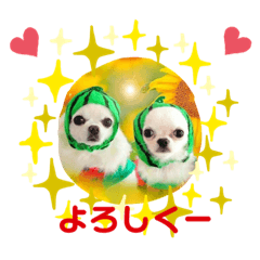 [LINEスタンプ] みる姉さんとまーしゃくん