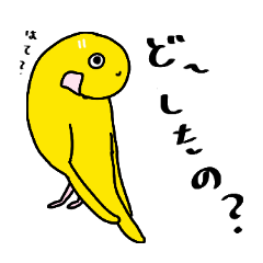 [LINEスタンプ] 僕のセキセイインコ、レモンちゃん