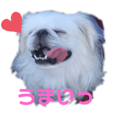 [LINEスタンプ] 4ペキLIFE