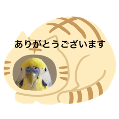 [LINEスタンプ] ちょぴんの使いやすいスタンプ