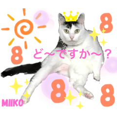 [LINEスタンプ] 飼い主用みいこスタンプ