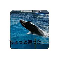 [LINEスタンプ] 魚 海獣