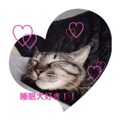 にゃんコスタンプ