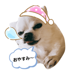 [LINEスタンプ] チワワのららちゃん第2弾