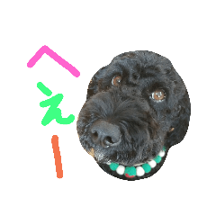 [LINEスタンプ] 黒プーの豆太くん9